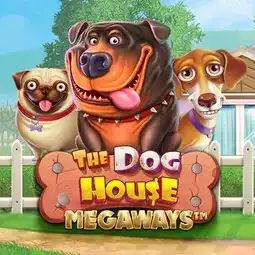 The Dog House Megaways gra w Wishwin Casino dla graczy z Polski The Dog House Megaways gra w Wishwin Casino dla graczy z Polski