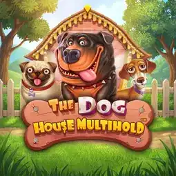 The Dog House Multihold gra w Wishwin Casino dla graczy z Polski The Dog House Multihold gra w Wishwin Casino dla graczy z Polski
